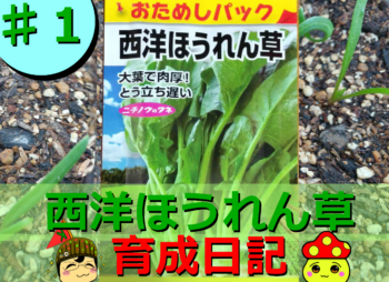 Thumbnail of post image 112